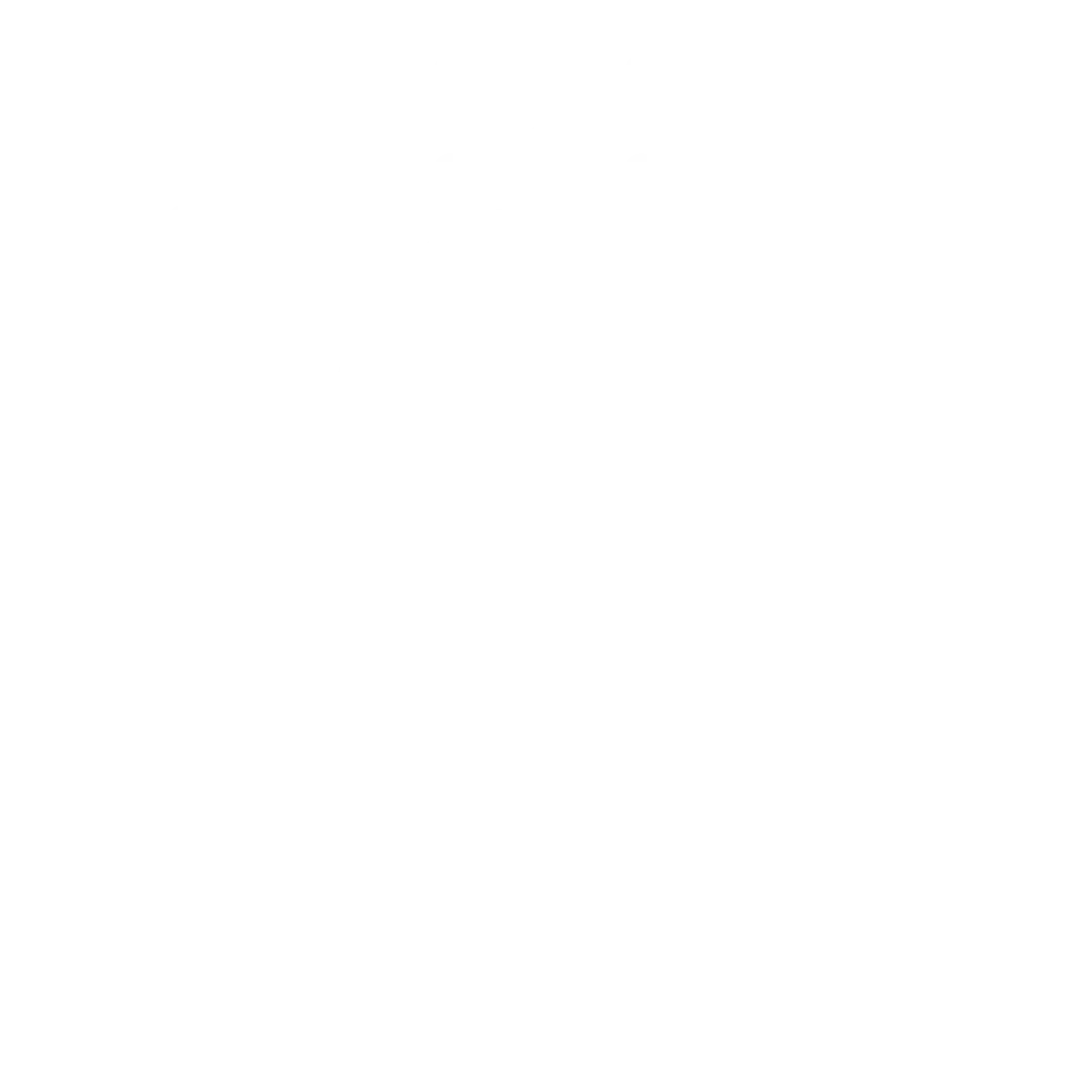 Cash Flow Allocation